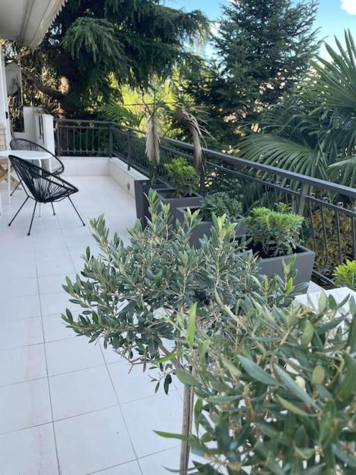 Appartement The One *